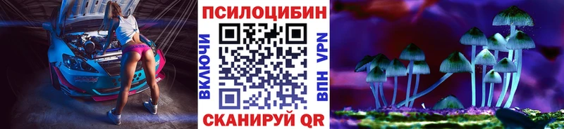 Псилоцибиновые грибы Psilocybine cubensis  Володарск 
